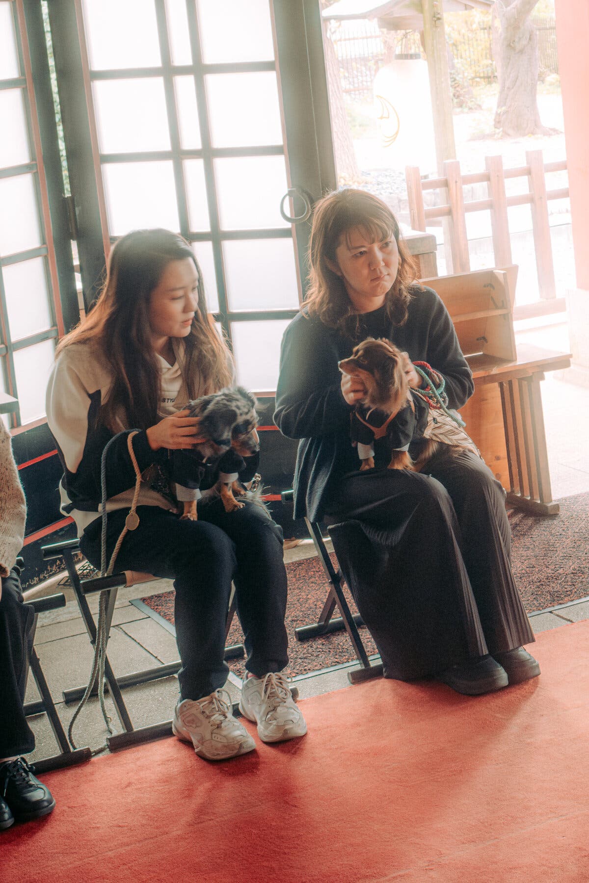 Cyclone Aftermath in Sri Lanka