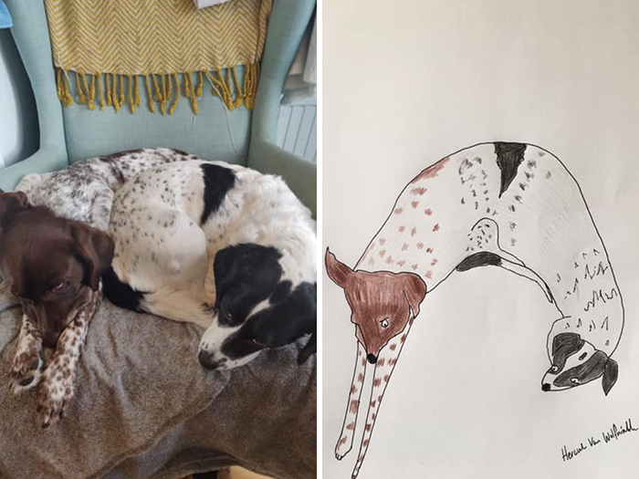 Man Who’s Never Drawn In His Life Does Crappy Pet Portraits For Charity And Raises Over £13.6k (29 New Pics)