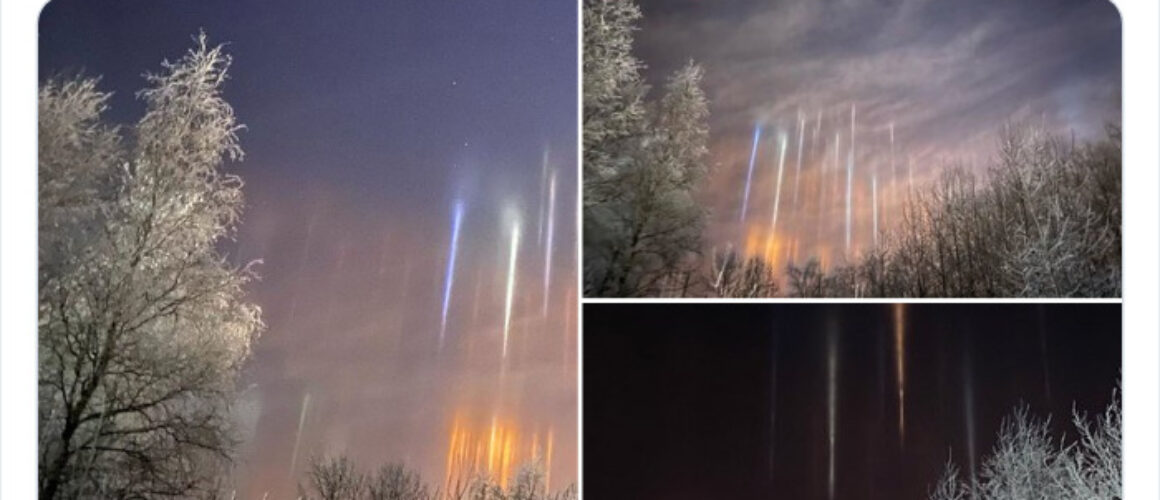 1213222535514472453-png__700