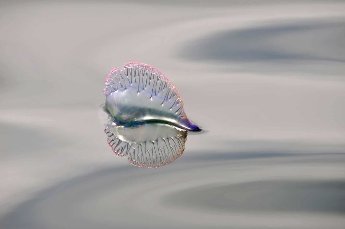 15 Of The Best Animal Images Of The Previous Decade From The British Wildlife Photography Awards