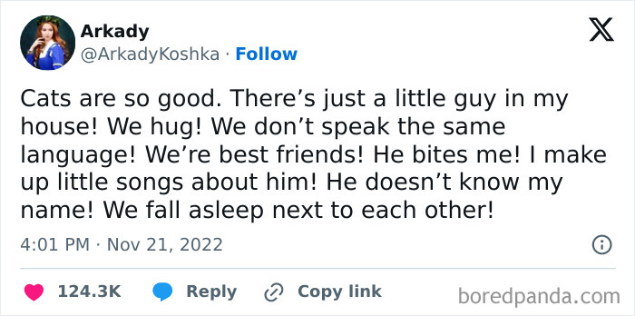 47 Of The Funniest And Most Relatable Cat Memes Shared By This IG Page