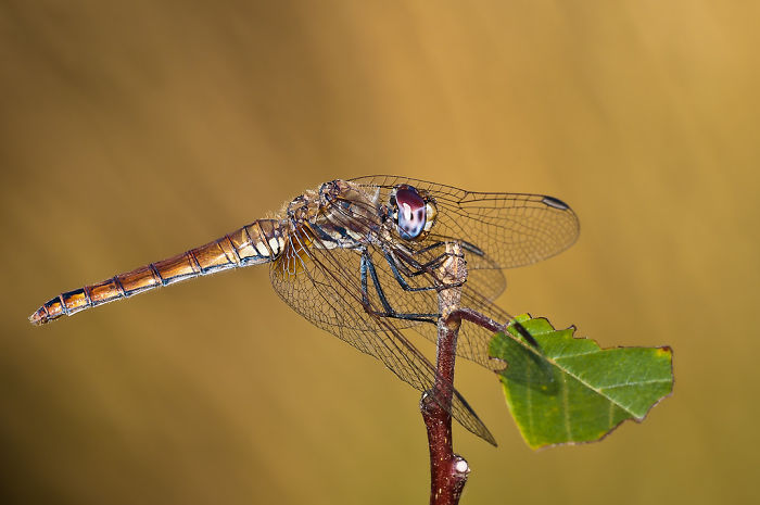 29 Unsettling Facts Many People Wish They Had Never Learned