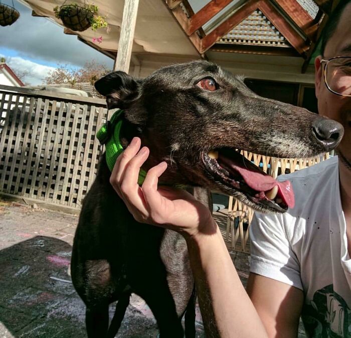 47 Photos That Trick Your Eyes So Well You Might Need A Second Or Third Look To Get Them