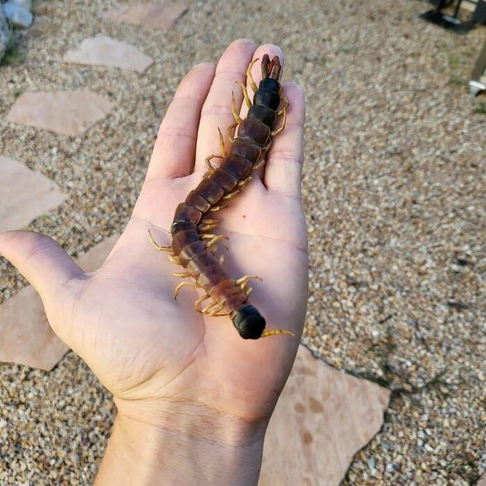 43 Of The Most Satisfying Instant Karma Manifestations People Have Ever Witnessed