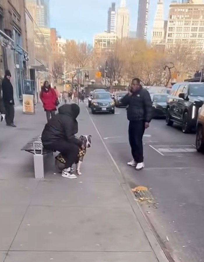 Pit Bull Attacks Toddler On Packed Manhattan Street, Refuses To Release Grip