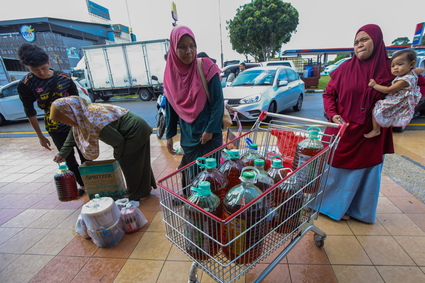 Nine of our best climate stories from 2025