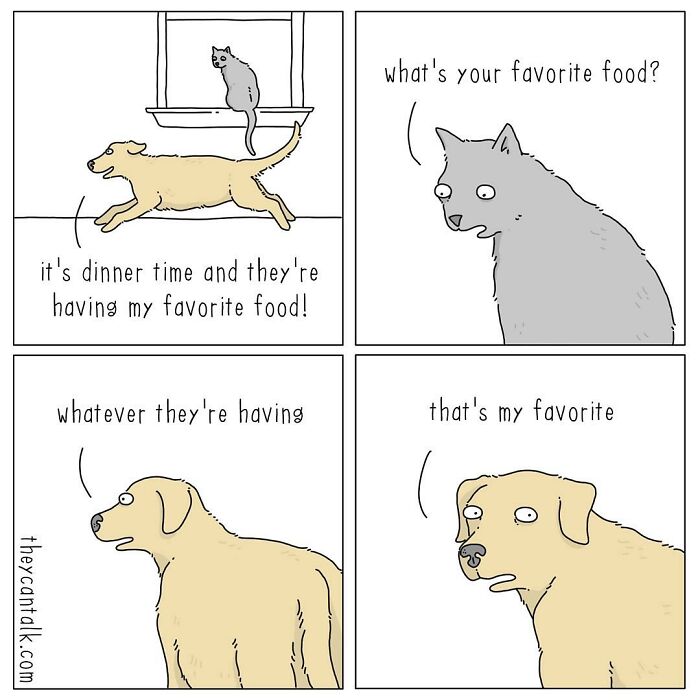 Funny New “They Can Talk” Comics By Jimmy Craig Show Animals With A Voice (21 Pics)