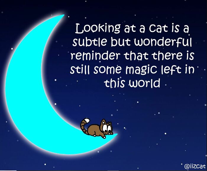 Artist Sums Up Life With A Cat In 23 Comics