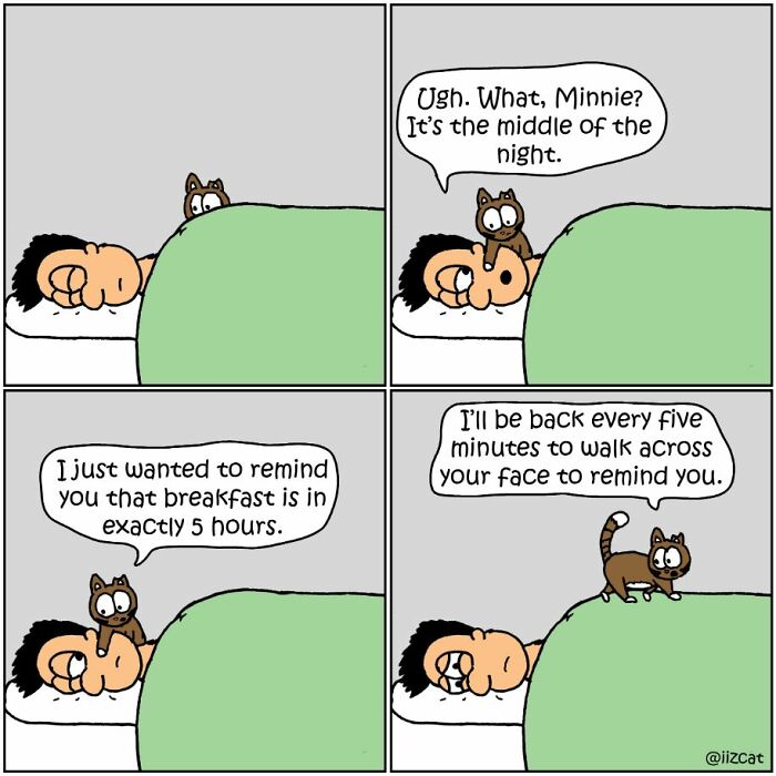 Artist Sums Up Life With A Cat In 23 Comics