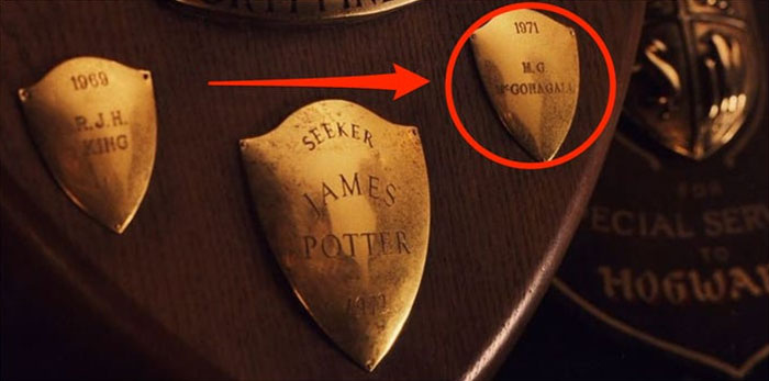 33 Brilliant Small Details That Were Hidden In The Harry Potter Movies