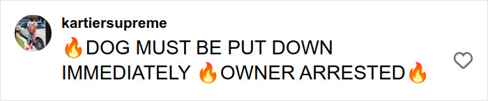 Pit Bull Attacks Toddler On Packed Manhattan Street, Refuses To Release Grip