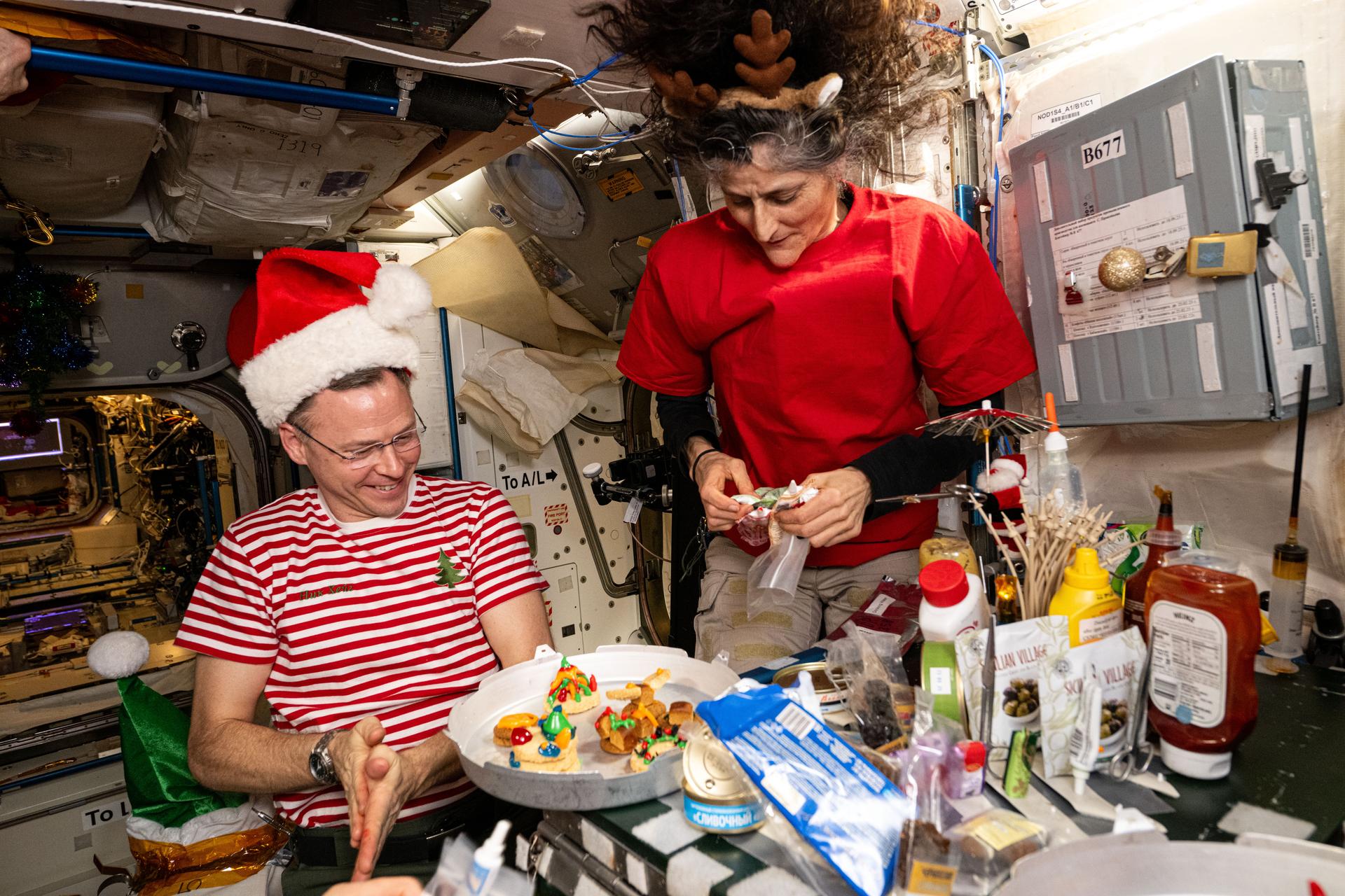 Holidays in Space: 25 Years of Space Station Celebrations