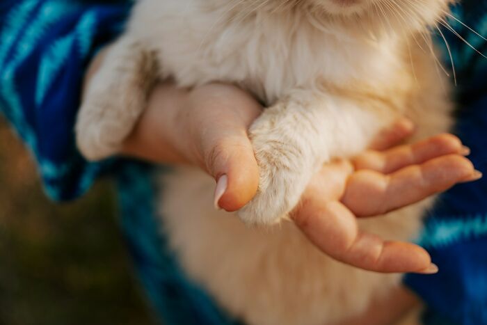 43 Of The Most Satisfying Instant Karma Manifestations People Have Ever Witnessed