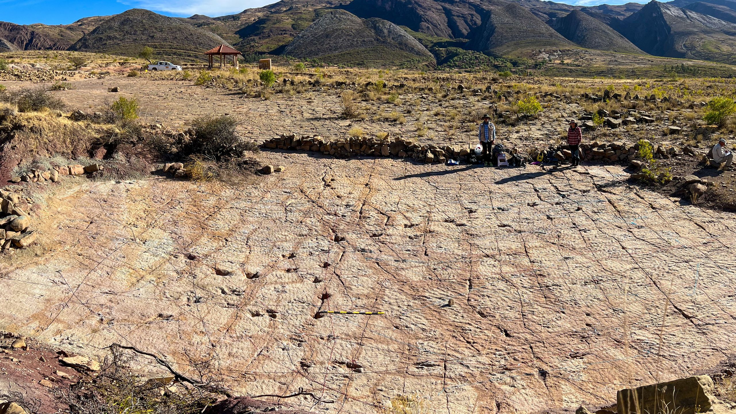 18,000 dinosaur tracks discovered along ancient Bolivian coastline — and they set a new record