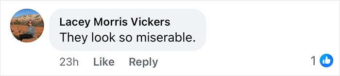 “They Look So Miserable”: Melania And Donald Trump’s Christmas Card Draws Brutal Backlash Online