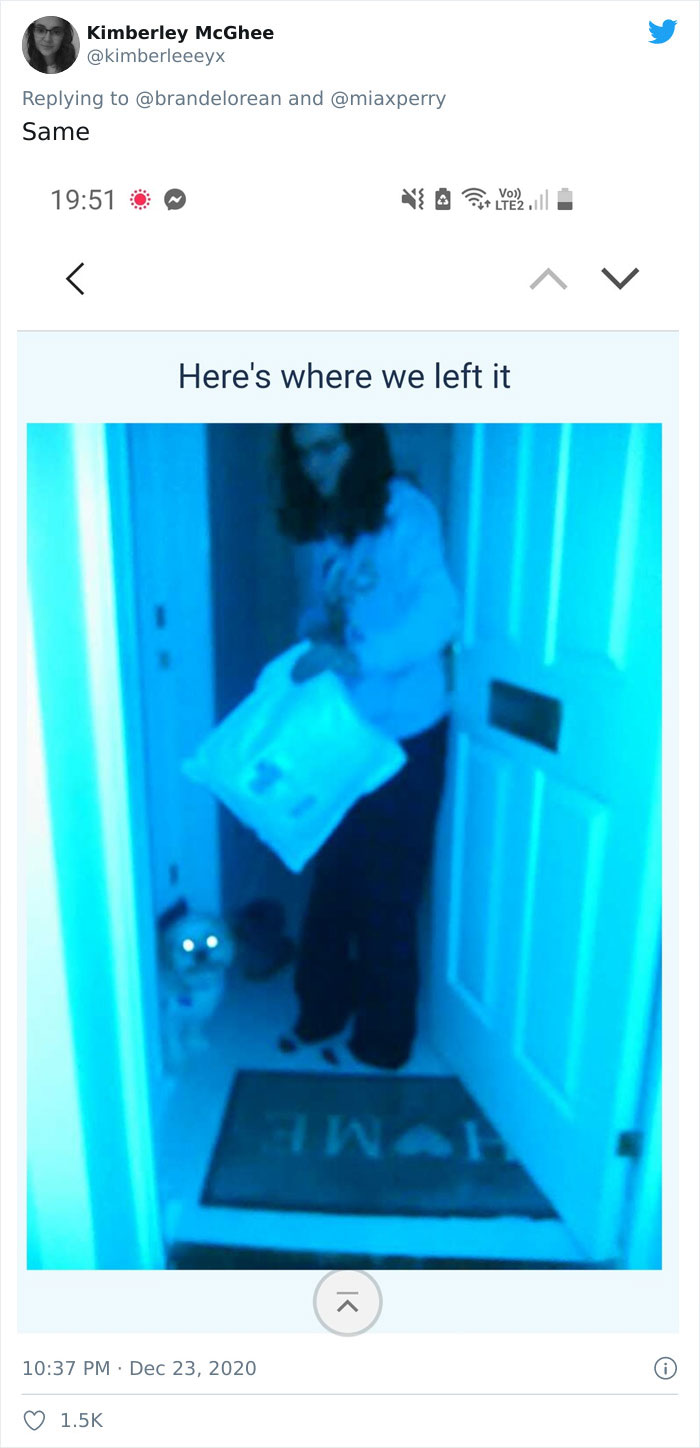 27 Pets Who Surprised Their Owners By “Collecting” Their Delivery