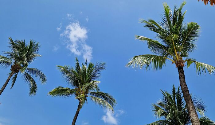 35 Times People Decided To Get Back At Their Exes And Nobody Could Stop Them