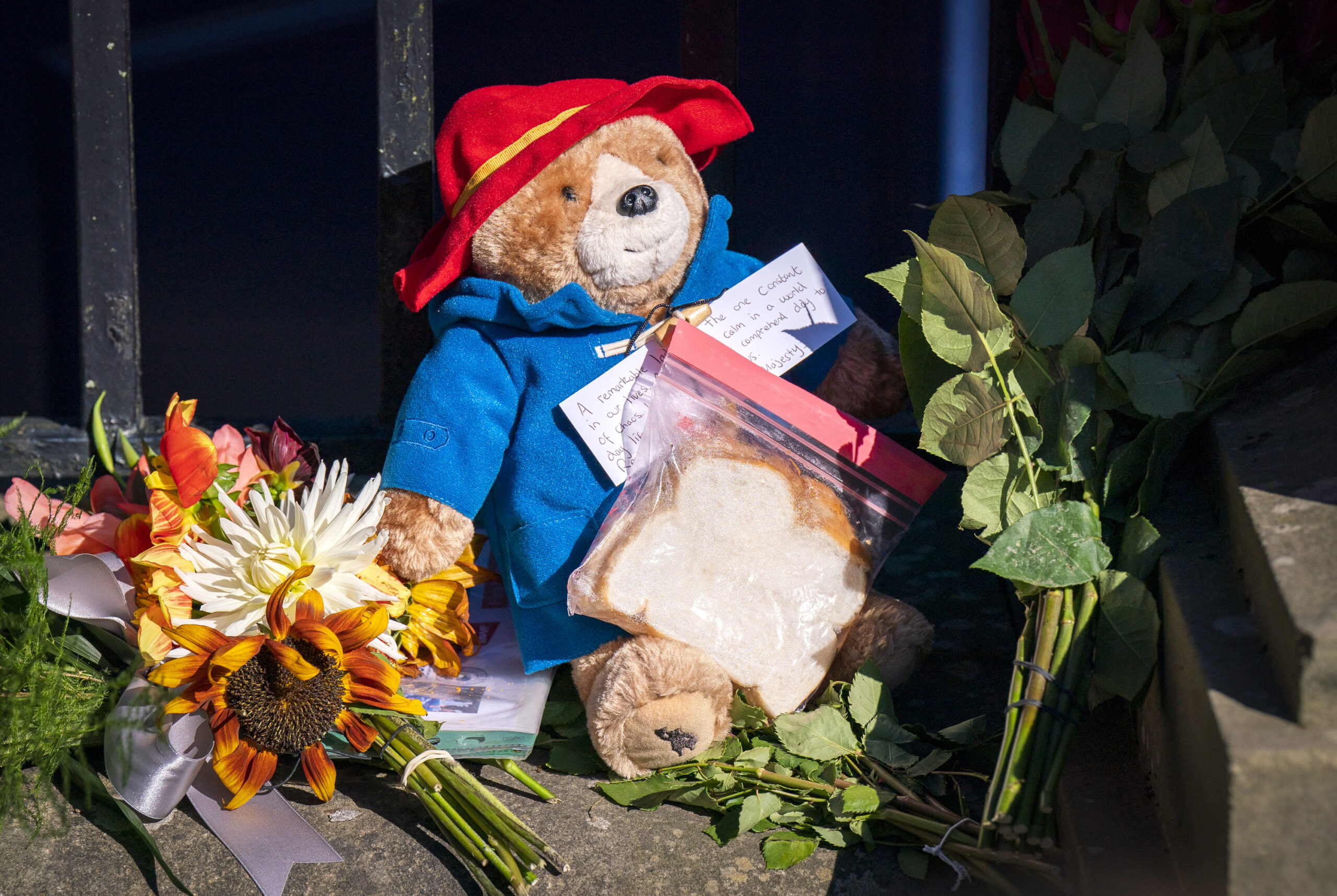 Mourners Have Been Asked To Stop Leaving Paddington Bears And Marmalade Sandwiches For The Queen